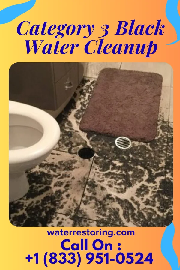 Category 3 Black Water Cleanup in Pulpotio Bareas, NM