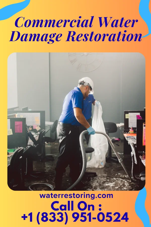 Commercial Water Damage Restoration in Pulpotio Bareas, NM