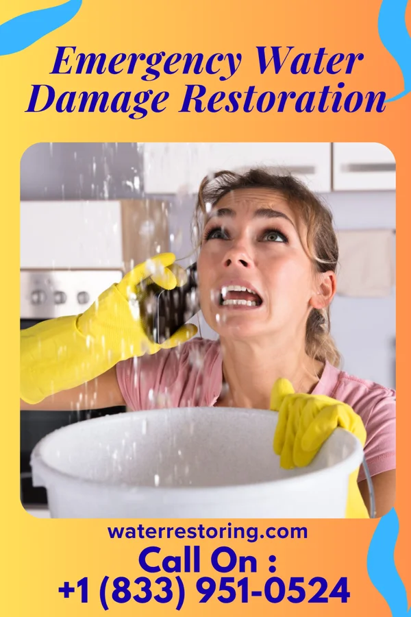 Emergency Water Damage Restoration in Pulpotio Bareas, NM