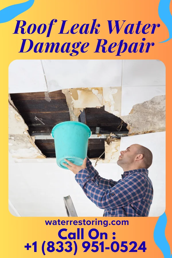 Roof Leak Water Damage Repair in Pulpotio Bareas, NM